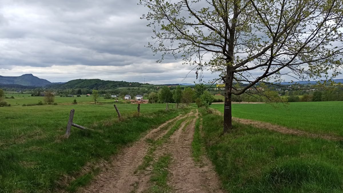 Tranquil rural pathway in Kudowa-Zdrój with lush greenery and distant mountains.